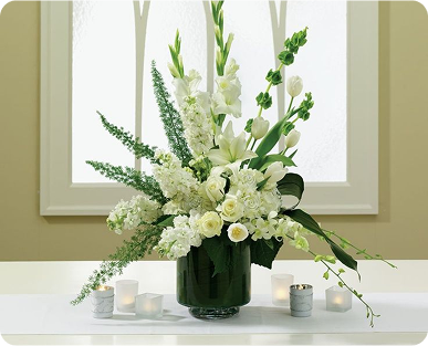 Occaecat eos quo dol